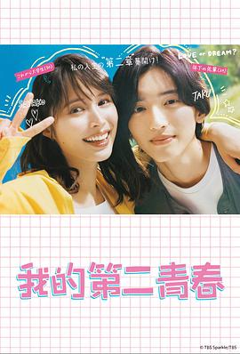 濮阳seo优化网络推广托管